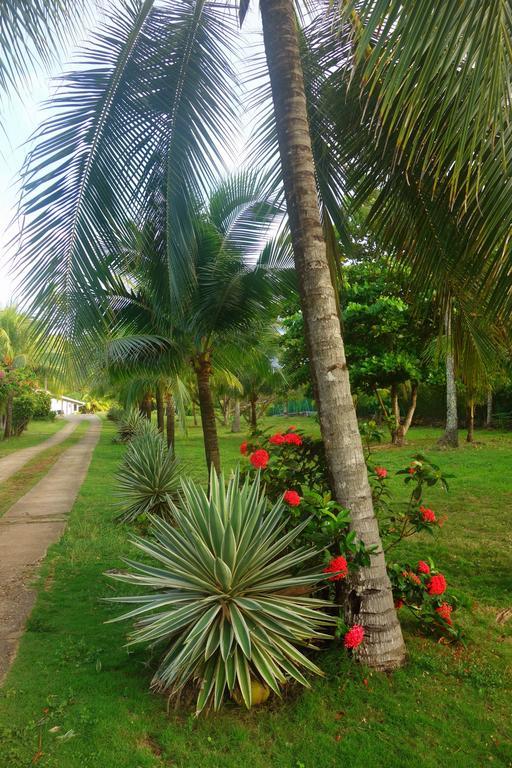 San Andrés Playa Tranquilo B&B And Dive Shop מראה חיצוני תמונה