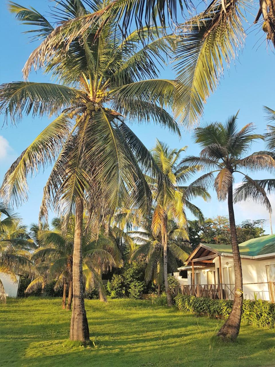 San Andrés Playa Tranquilo B&B And Dive Shop מראה חיצוני תמונה